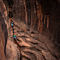 Zion Canyoneering Experience