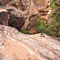 Zion Rock Climbing Experience