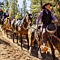 Group Horseback Ride