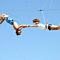 Fly on a Trapeze near Phoenix
