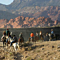 Horseback Trail Ride in Las Vegas
