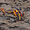 MD 500 Helicopter Flight