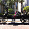Group Carriage Ride