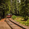 Ride the Rails through Redwoods