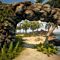 Rock Arch with Palm Trees