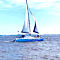 Private Catamaran Sailing Cruise in Fernandina Beach, FL