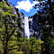 Yosemite Falls on Tour in San Francisco