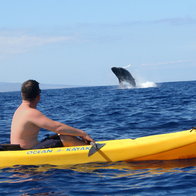 Kayaking Among Whales