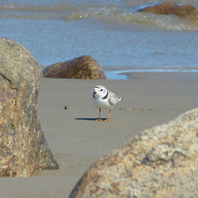 Little Compton Beaches and Hideaway Bike tour Virgin Experience Gifts