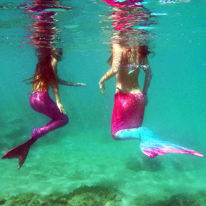 Mermaid Snorkel Tour