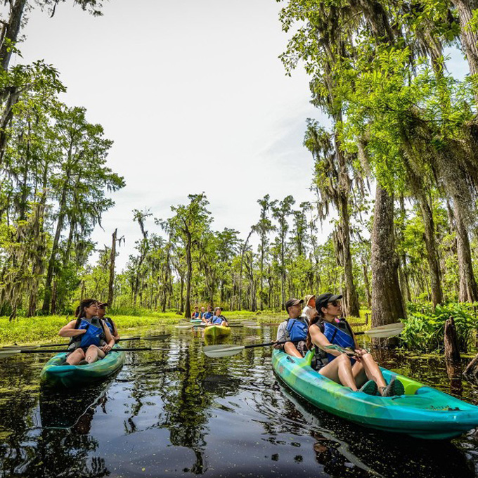 new orleans kayak tour swamp