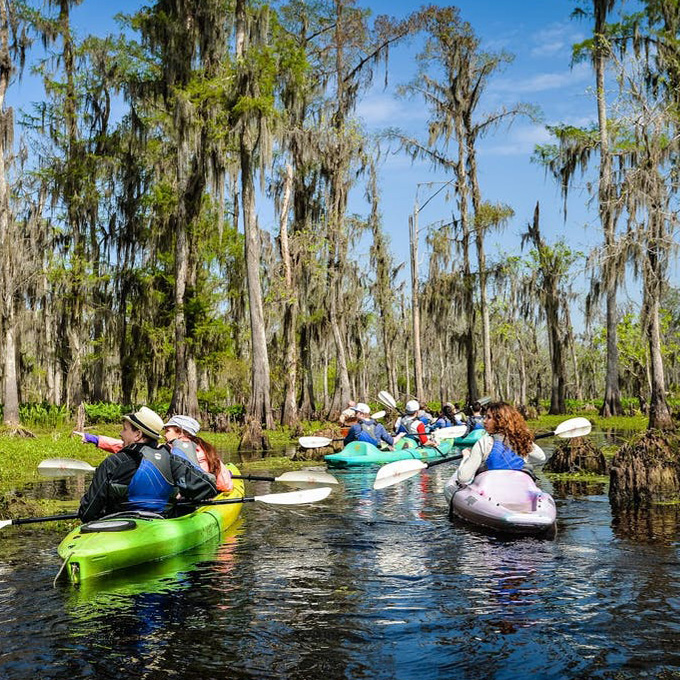 new orleans kayak tour swamp