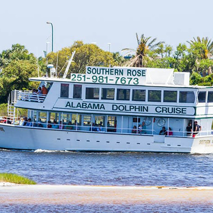 Dolphin Cruise in Alabama 