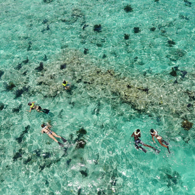 Snorkel Experience in Key West