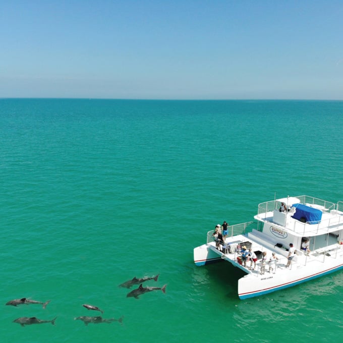 Cruise with Dolphins in Key West