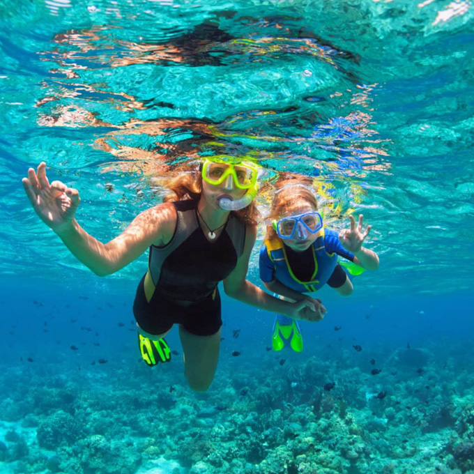 Reef Snorkeling Tour in Key West Virgin Experience Gifts