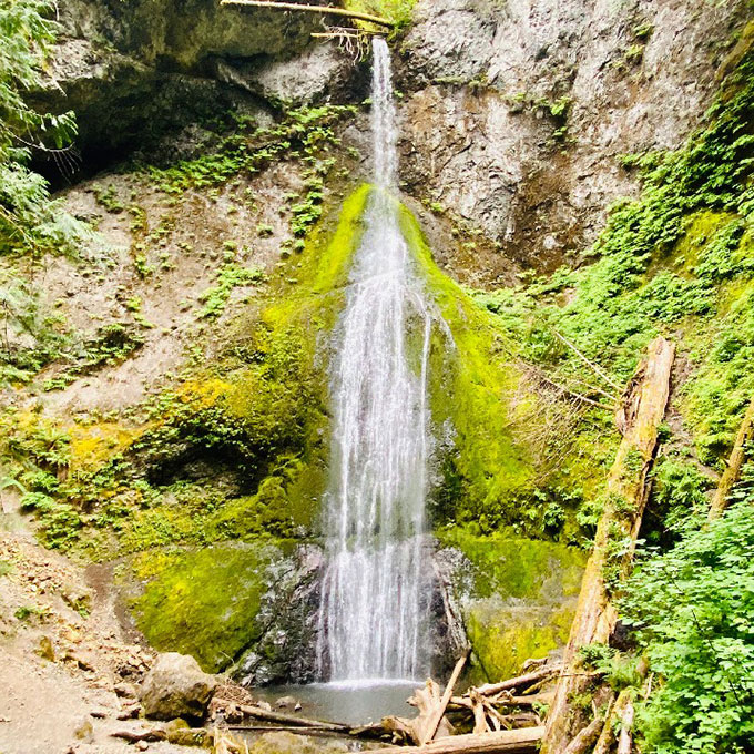 Waterfall in Olympic National Park