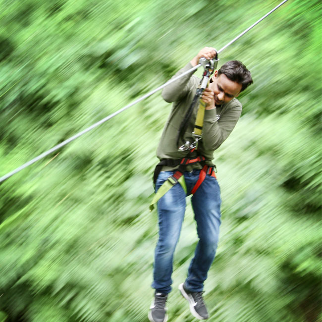 Ultimate Canopy Adventure Tour near Portland | Virgin Experience Gifts